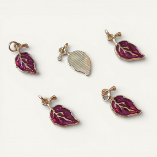 IMG_20260207_015143 (7).jpg